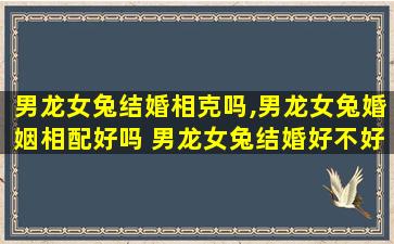 男龙女兔结婚相克吗,男龙女兔婚姻相配好吗 男龙女兔结婚好不好